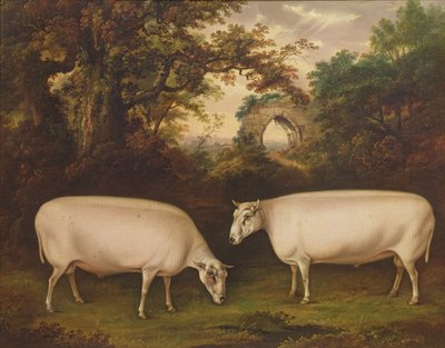 Dos carneros Border Leicester premiados en un paisaje, 1800 de Thomas Weaver